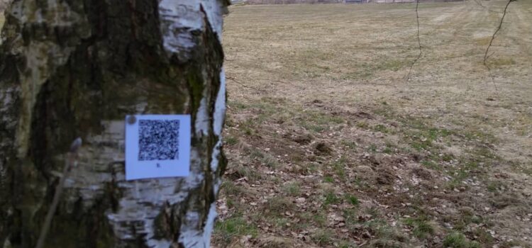 Jarní Srdíčková pátračka s odměnami Jarní Srdíčková pátračka s odměnami